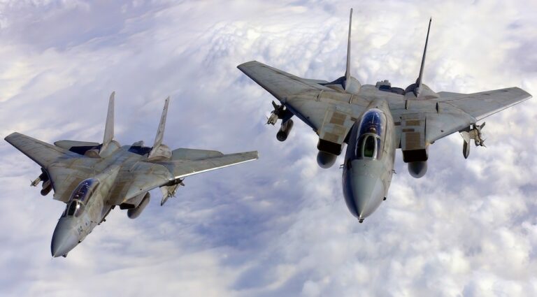 A Top Gun Fighter: The F-14 Tomcat - Jets ’n’ Props