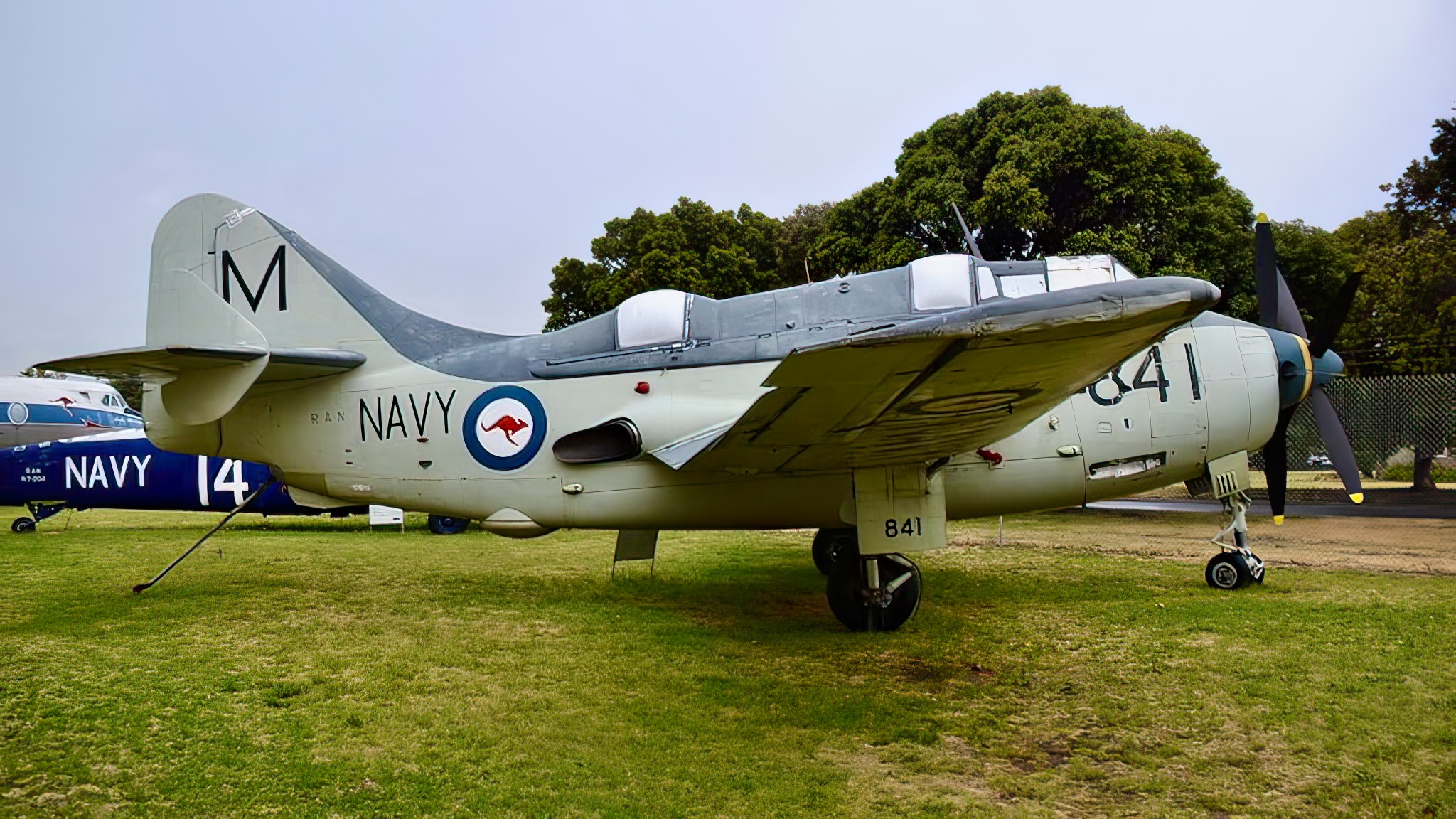 Fairey Gannet AS.4 no Museu Nacional de Aviação da Austrália, Moorabbin, VIC., Austrália