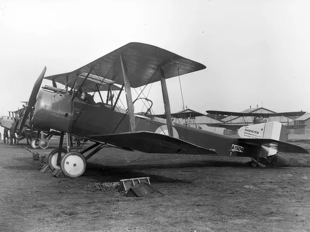 Royal Flying Corps or Royal Air Force Sopwith 1 1/2 Strutter in 1917-1918 period